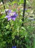 20150516_083233