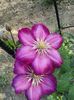 20150521_174703