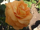 P5210043