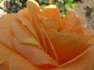 P5210055