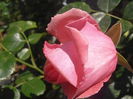 P5210073