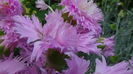 DSC00847
