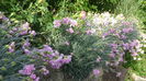 DSC00834