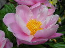 DSCN7066