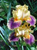 DSCN7026
