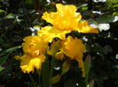 DSCN7028