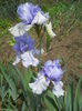 DSCN7032