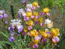 DSCN7034