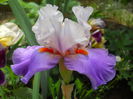 DSCN7058