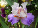 DSCN7059