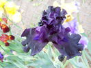 DSCN7060