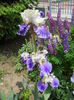 DSCN7071