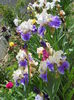DSCN7072