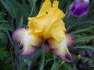 DSCN7084