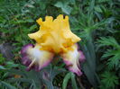 DSCN7086