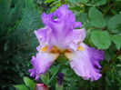 DSCN7087