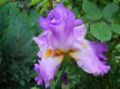 DSCN7089