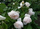 20150521_200345[1]