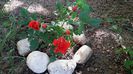 20150522_104551