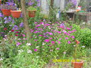 SAM_0049