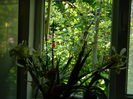 DSCN7557