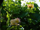 DSCN7569