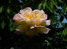 DSCN7611