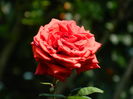 DSCN7614