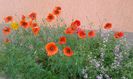 20150515_093034