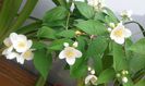 20150515_092952