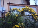 DSC06982