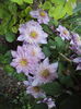 DSC06927