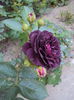 DSC06790