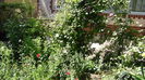 DSC02339