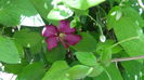 DSC02350
