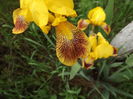 DSCF3843