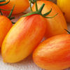 tomato blush