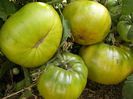 Aunt-Ruby-Greman-Green-Tomato