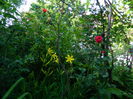 DSCN7731