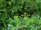 DSCN7752