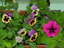 DSCN7757