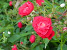 DSCN7773