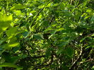 DSCN7793