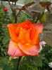 IMG_20150523_134933