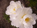 P1240225