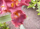 P1240228