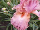 P1240235