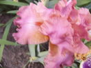 P1240236