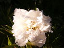 P1240308