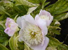 P1240320